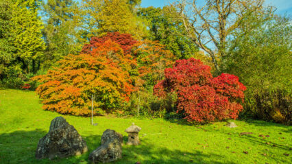 Take part in our Autumn Photo Competition