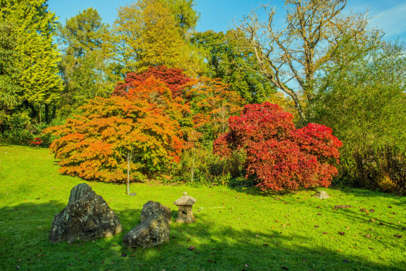 Half Term Fun: Learn About Nature on an Autumn Walk