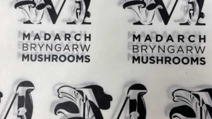 Bryngarw Mushrooms used in dishes across Awen venues