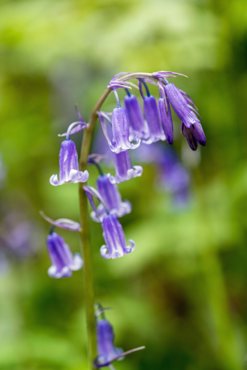 Take part in our Summer Photo Competition