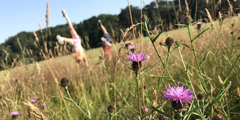 Bridgend Green Gathering in Bryngarw Country Park