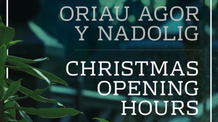 Bryngarw Christmas Opening Hours 2023
