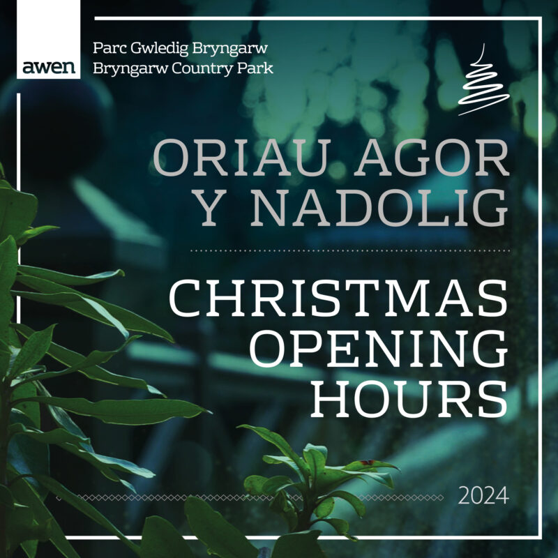 Christmas and New Year Opening Hours 2024