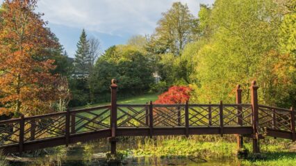 Spending Time in Nature is Good for Your Health!