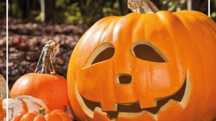 Take part in our annual Pumpkin Carving Competition