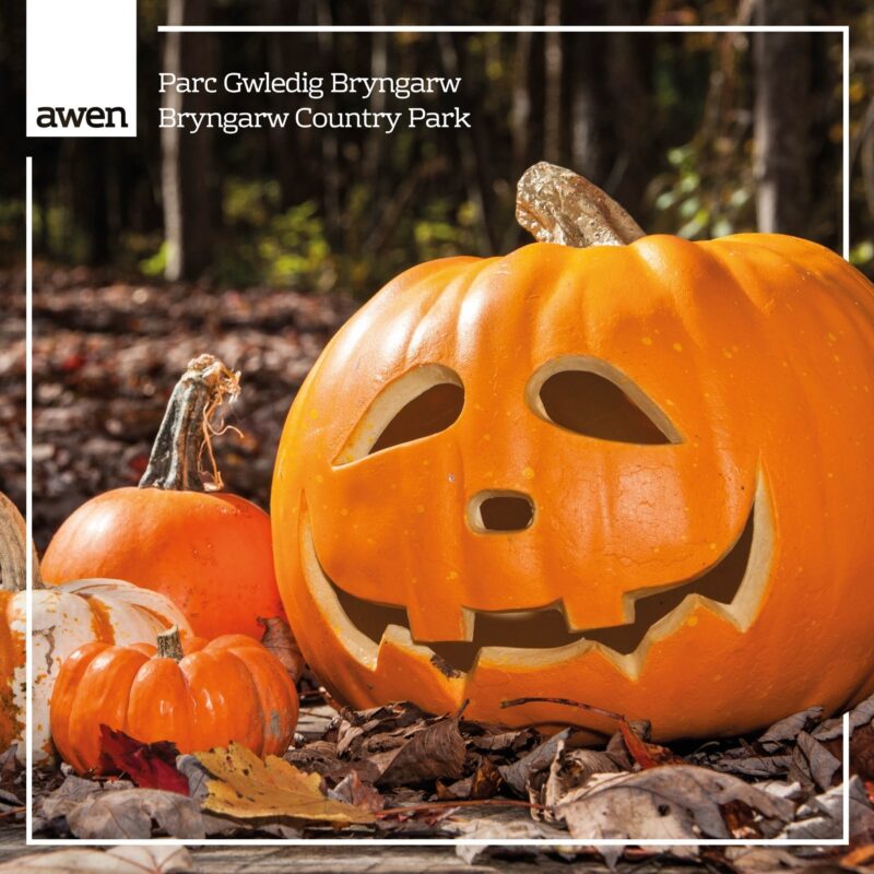 Take part in our annual Pumpkin Carving Competition