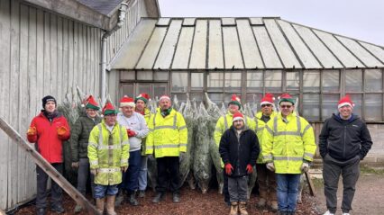 Christmas trees now on sale at B-Leaf
