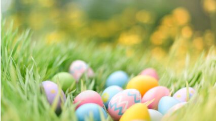 What’s on this Easter at Bryngarw Country Park