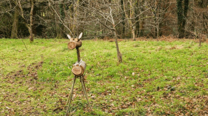 Winter at Bryngarw Country Park