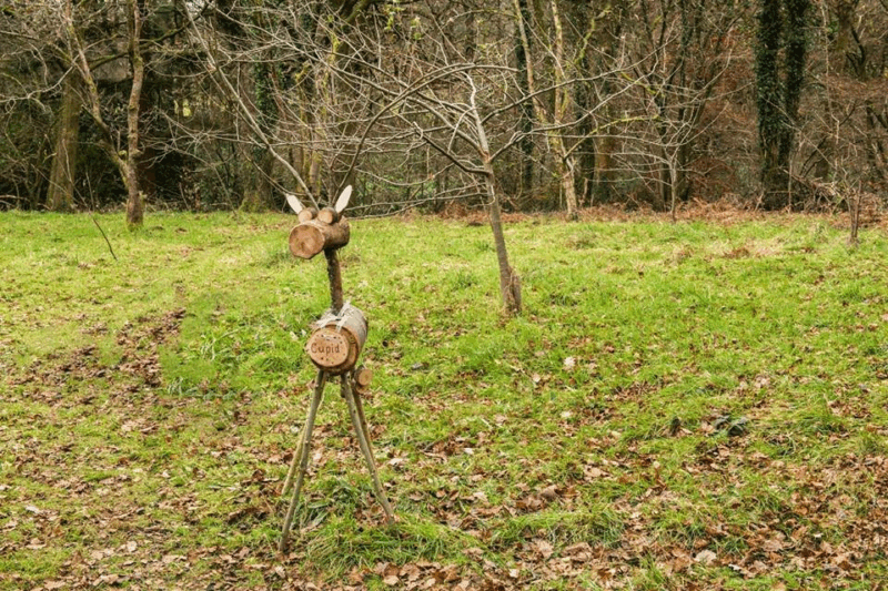 Winter at Bryngarw Country Park